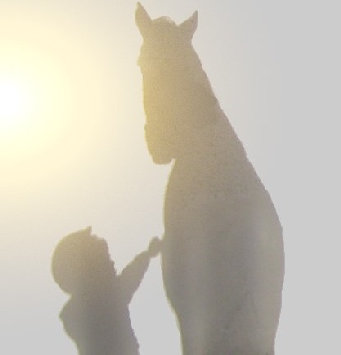 reittherapie-draegert001001.jpg